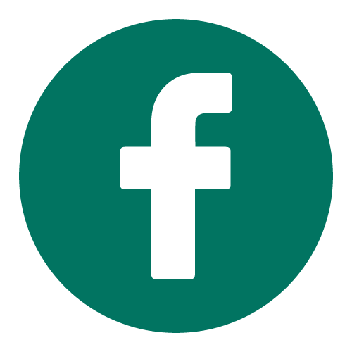 icone facebook