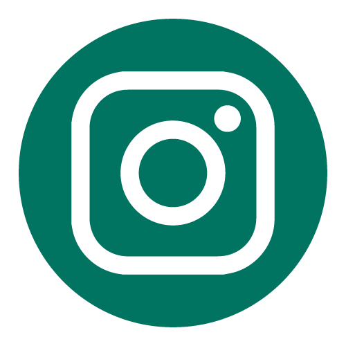 icone instagram